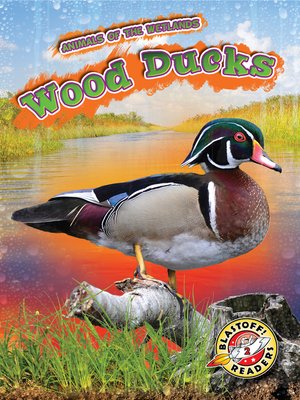 cover image of Wood Ducks